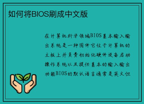 如何将BIOS刷成中文版
